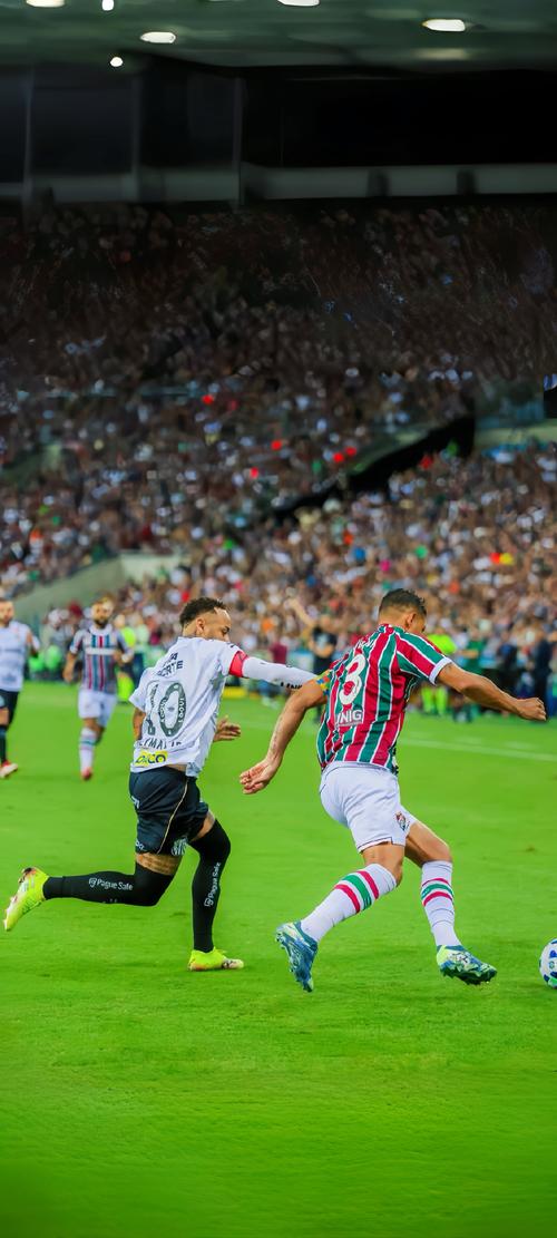 解锁新身份，美女球员艾丽莎-莱曼将成为米兰冬奥会火炬手（艾丽莎·莱曼受邀担任米兰冬奥会火炬手）